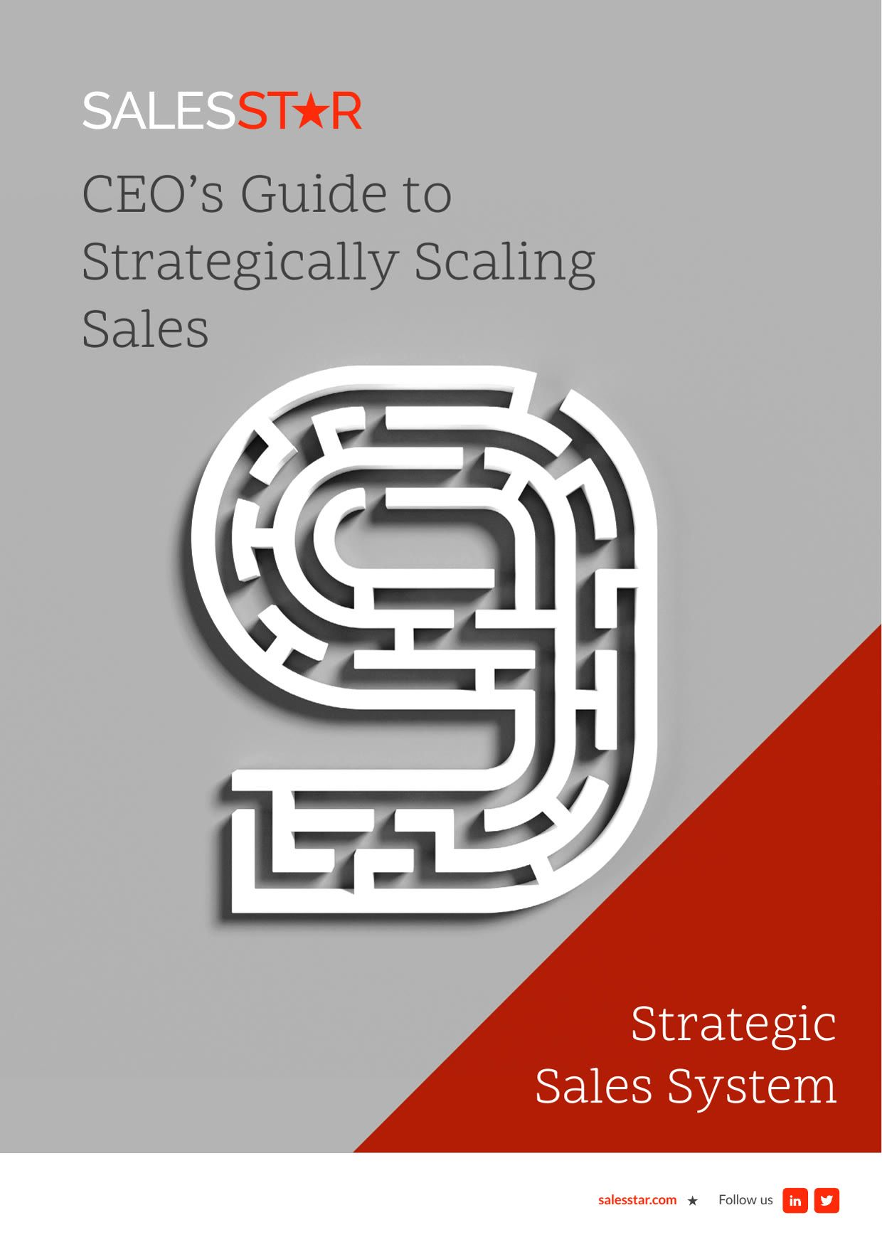 A CEO reviewing a sales growth plan
