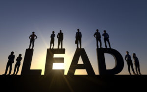 Blog A sales management lesson - do you manage or lead