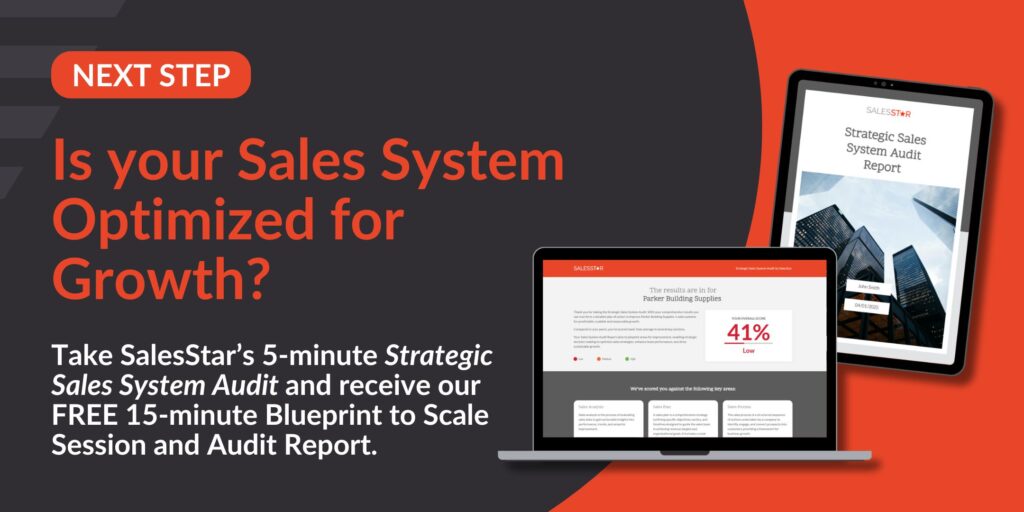 Sales System Audit