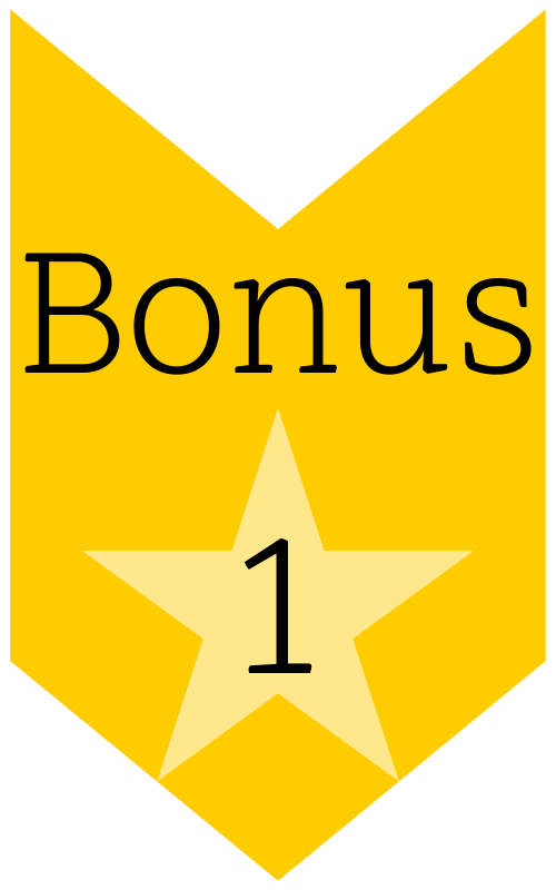 Bonus Item