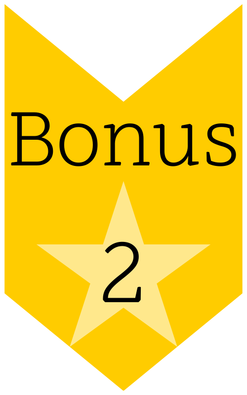 Bonus Item