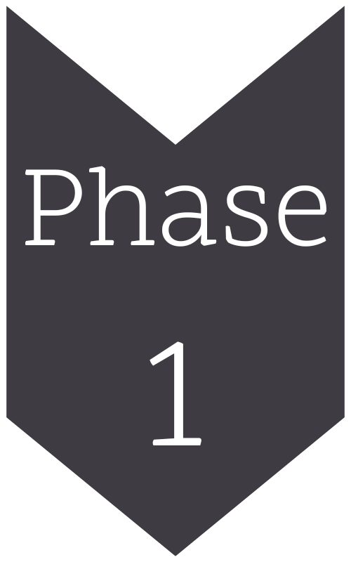 Phase 1